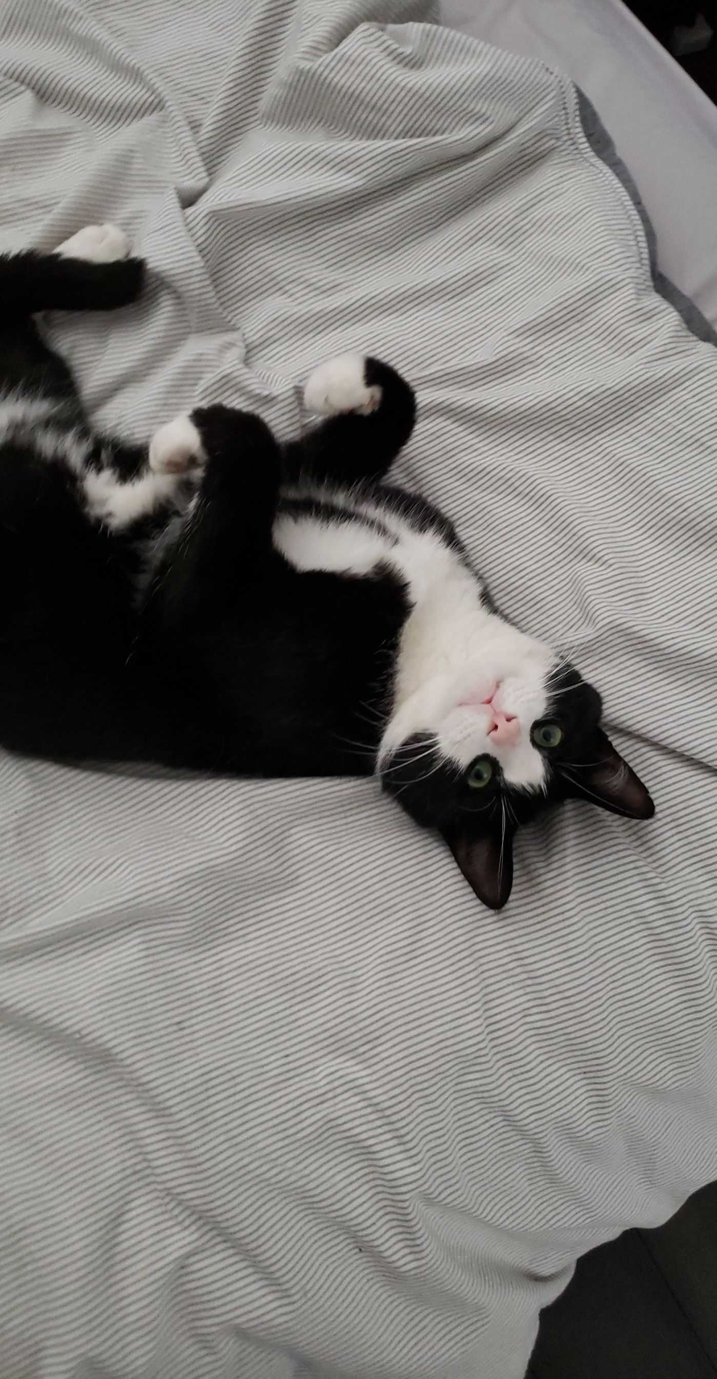 William