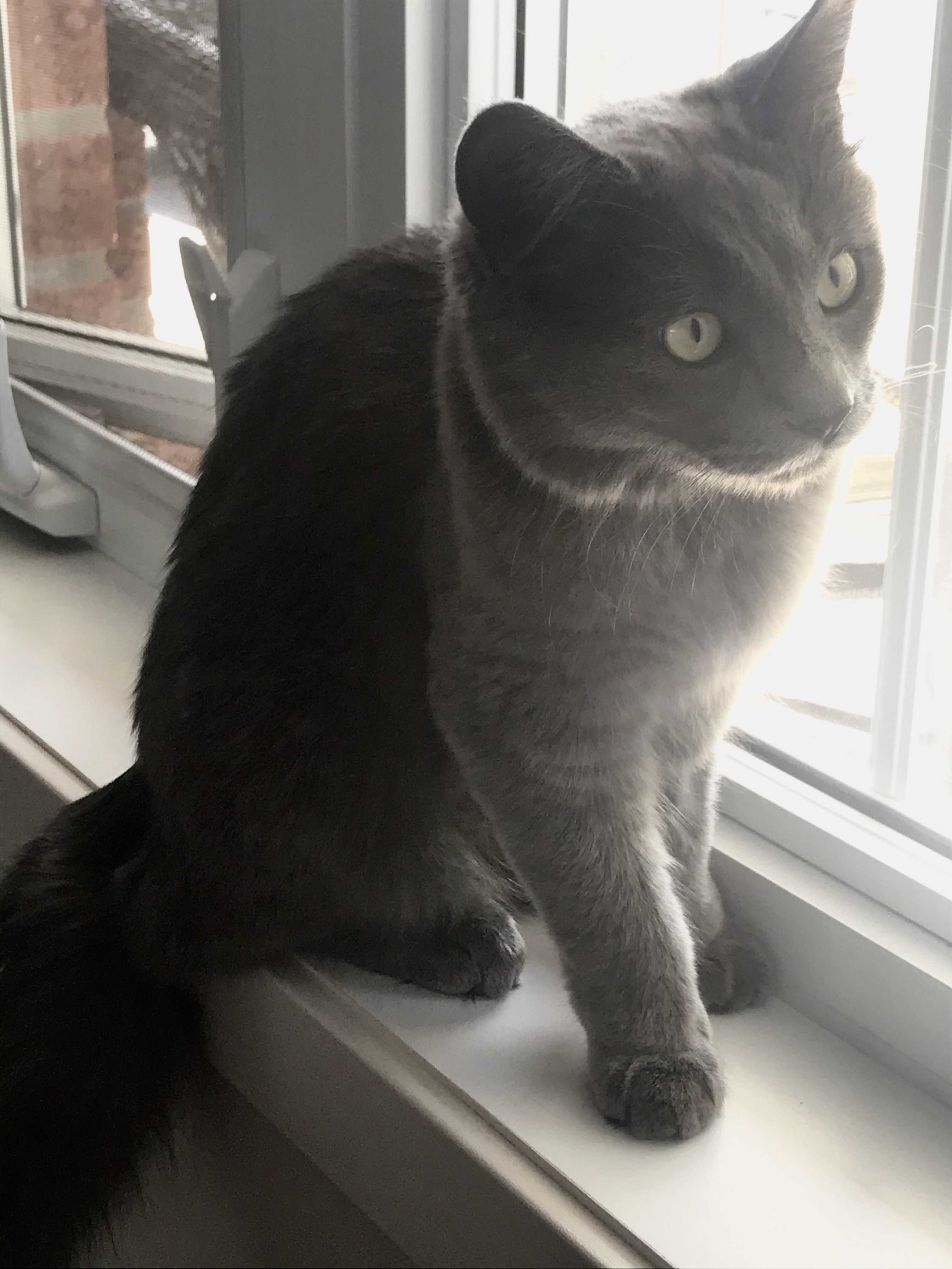 Luna