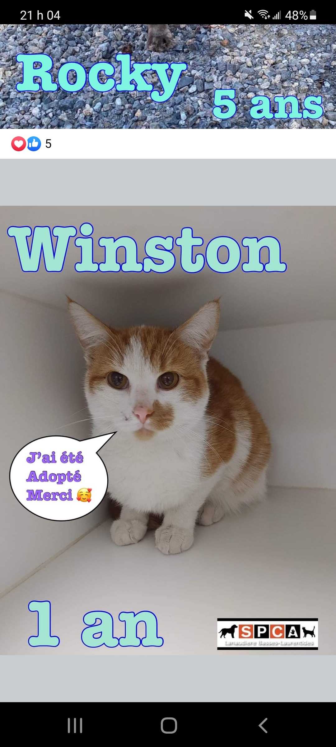 Winston