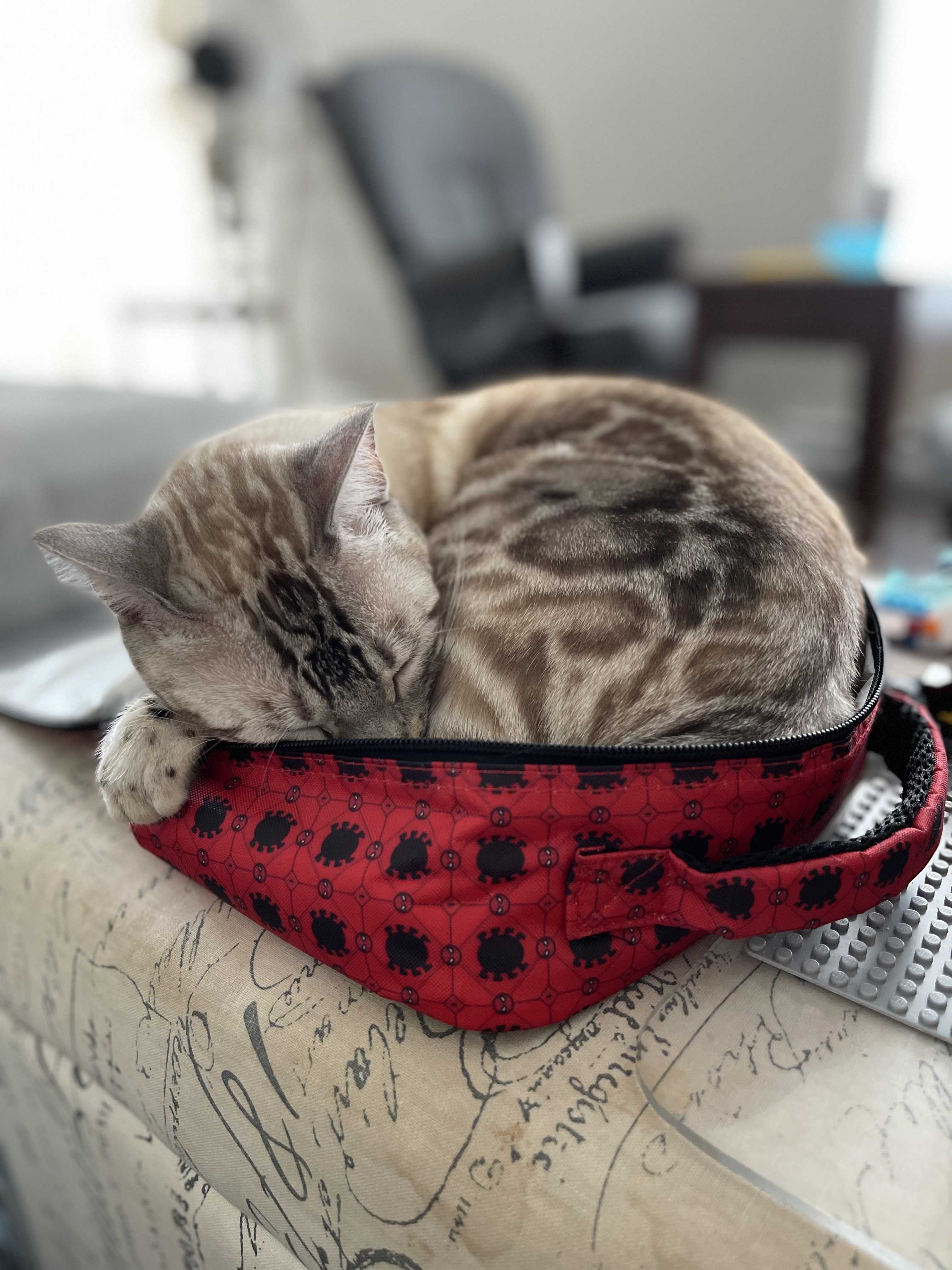 Maximus