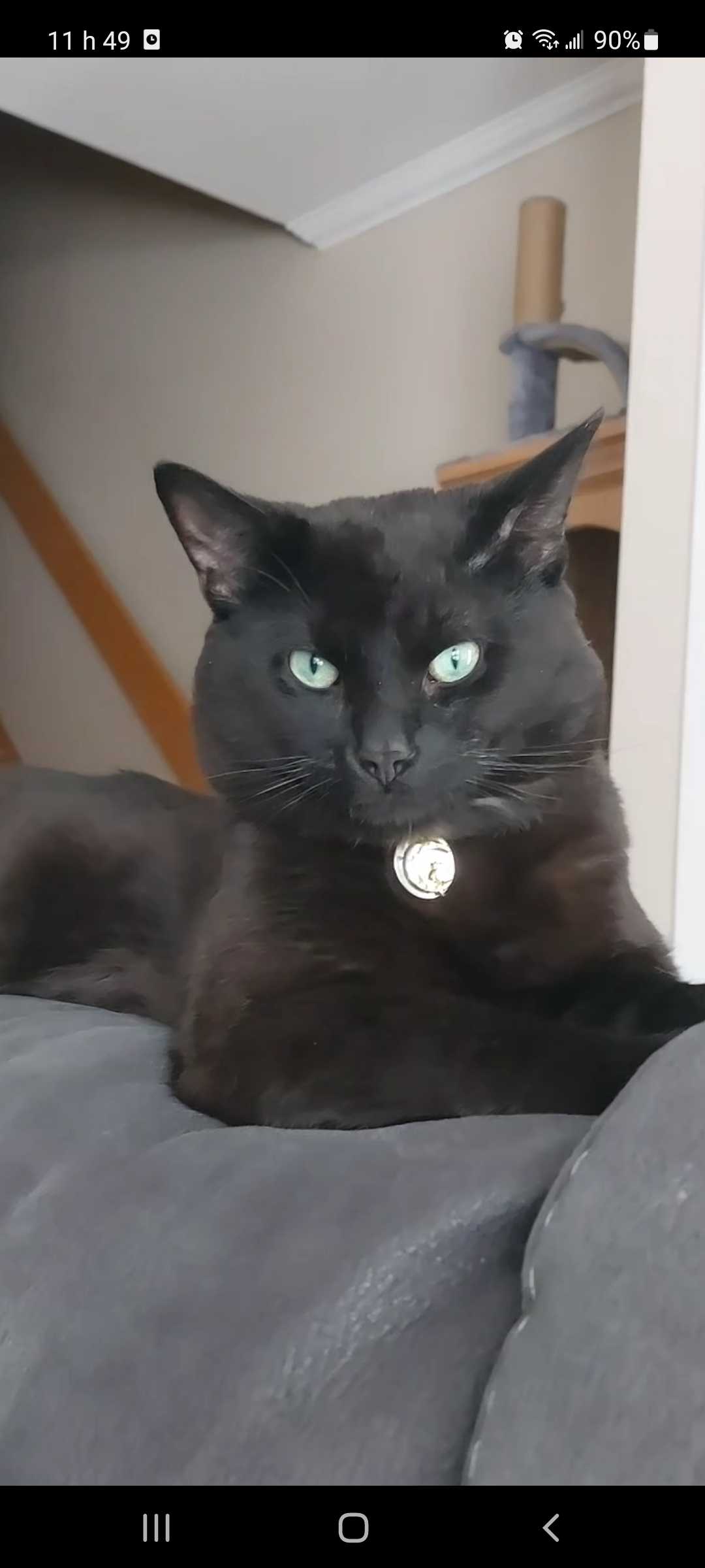 Salem-Lilith