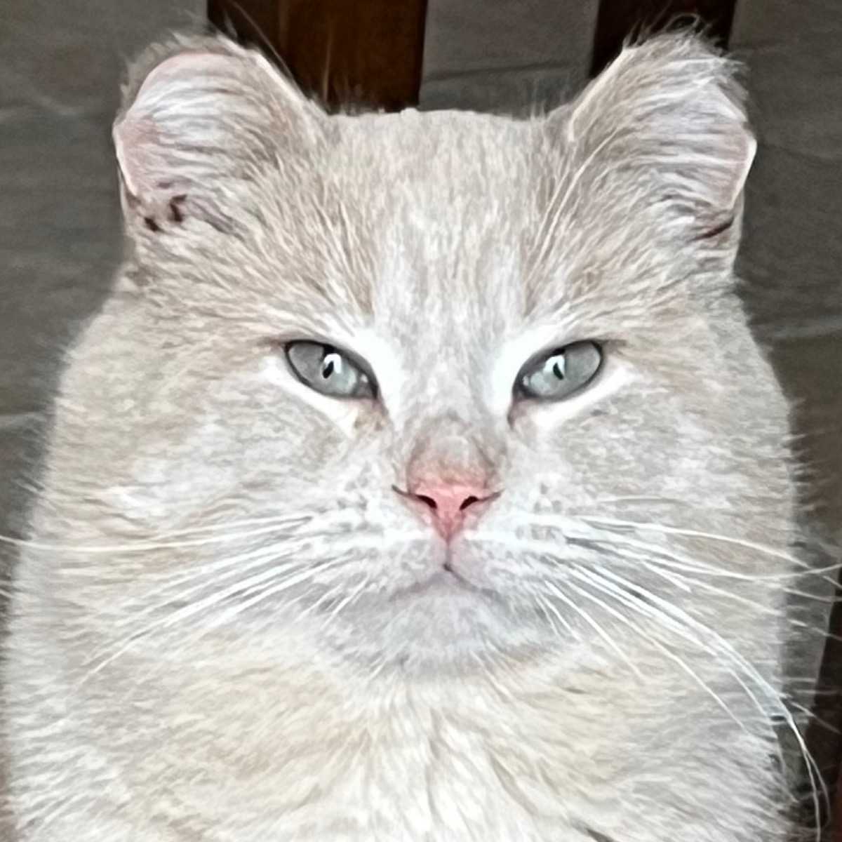 Sam