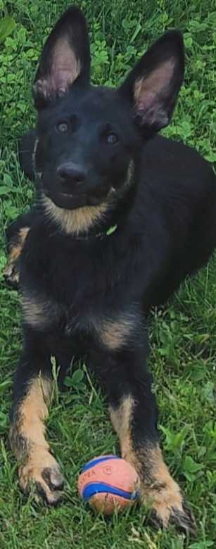 Luna