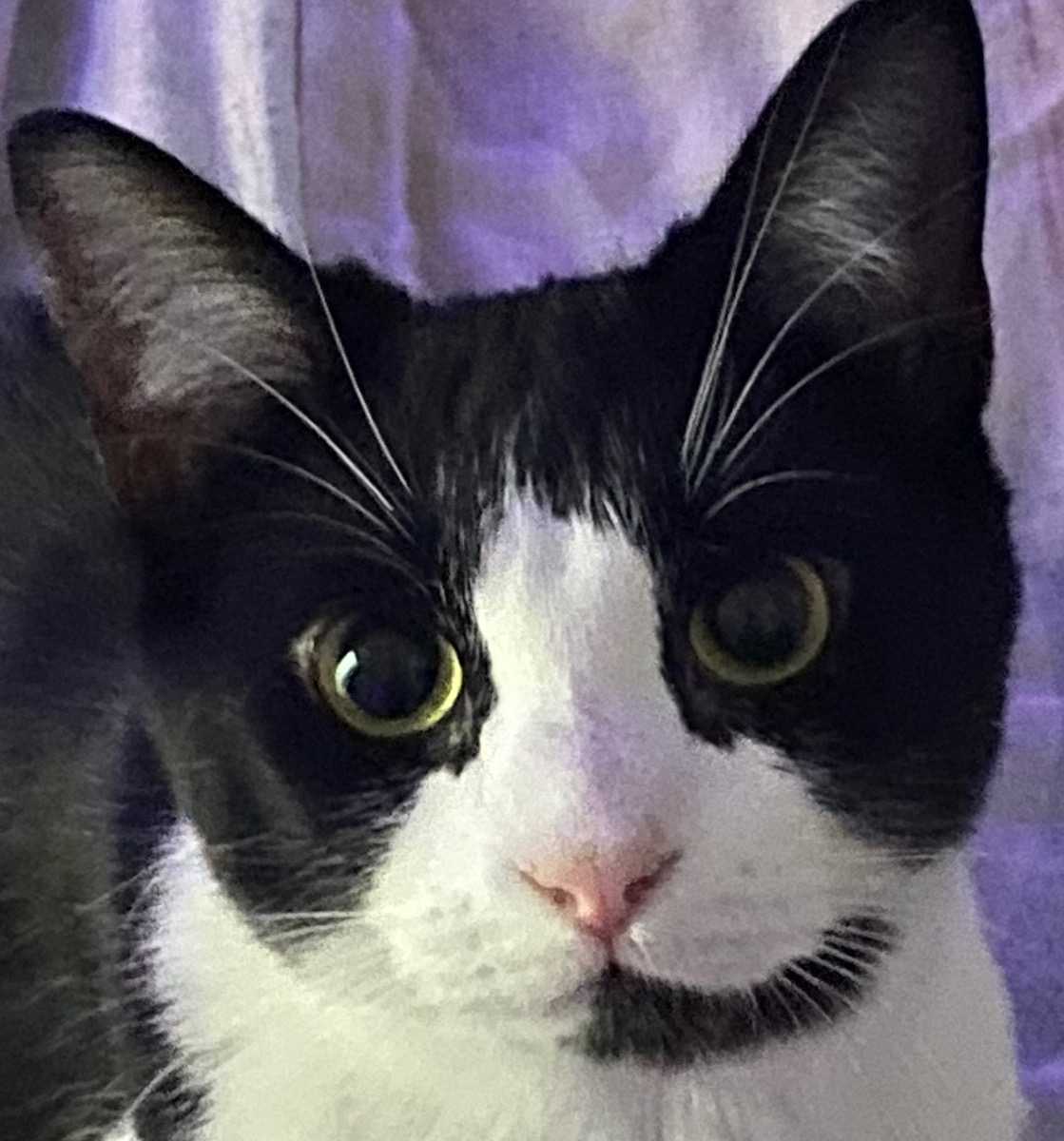 Clémentine (répond à Cléclé)