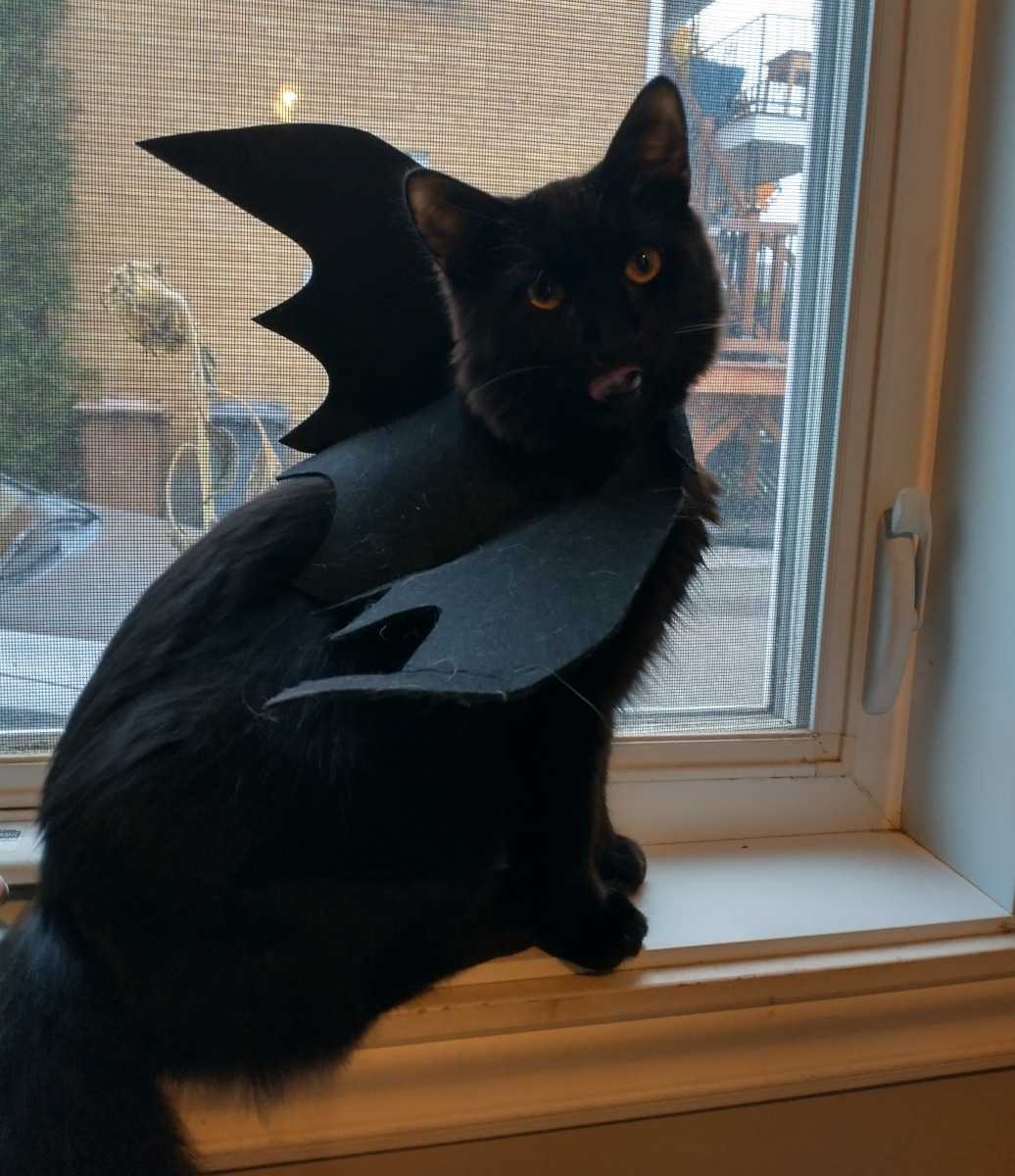 Darth Nihilus