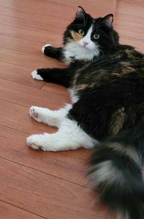 Gabrielle Cousineau Dupuy