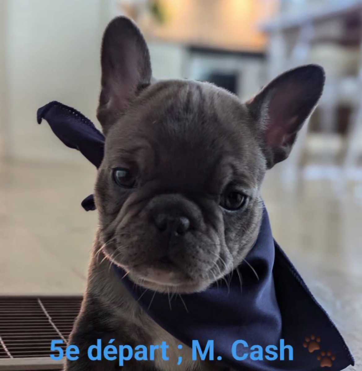 Cash