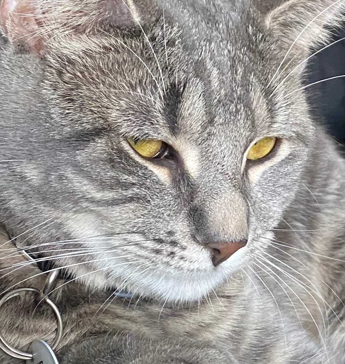 Ernest