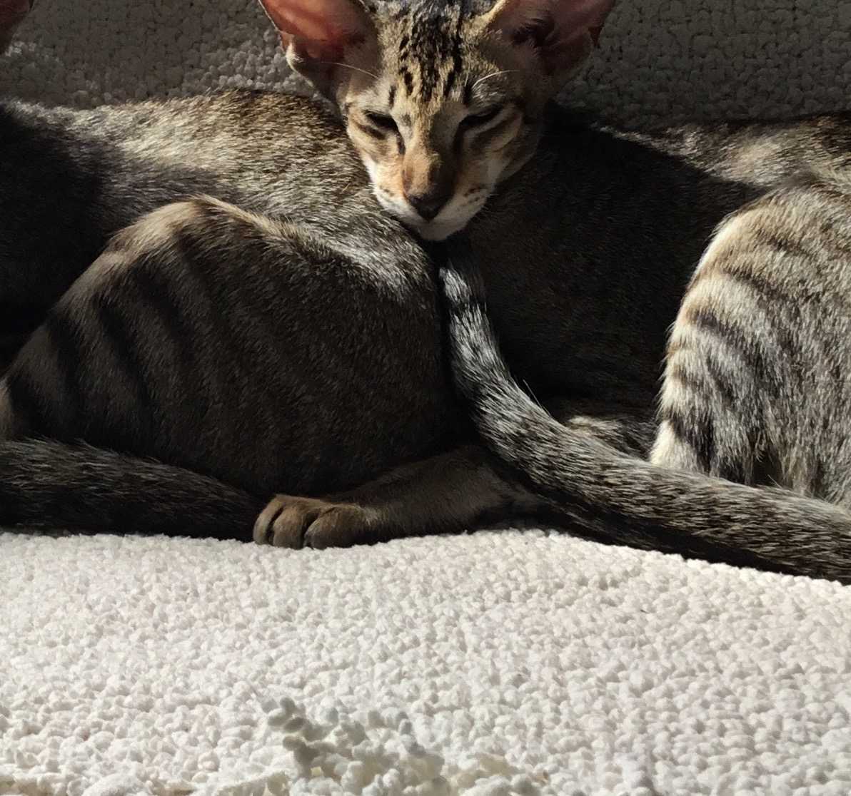 Luna