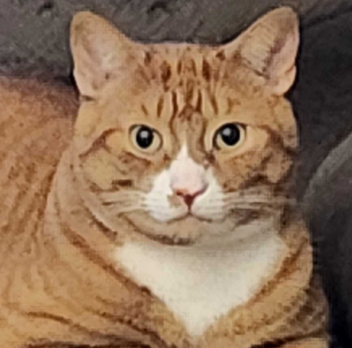 Garfield