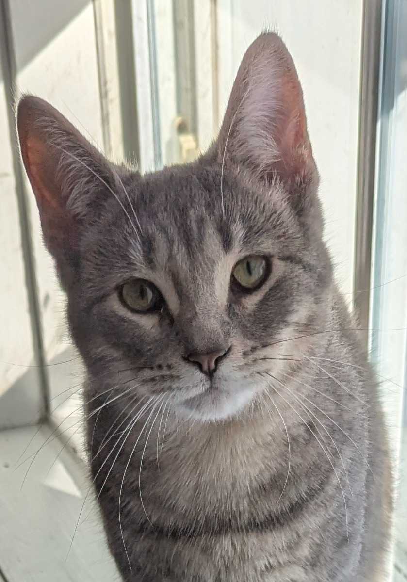 Bella