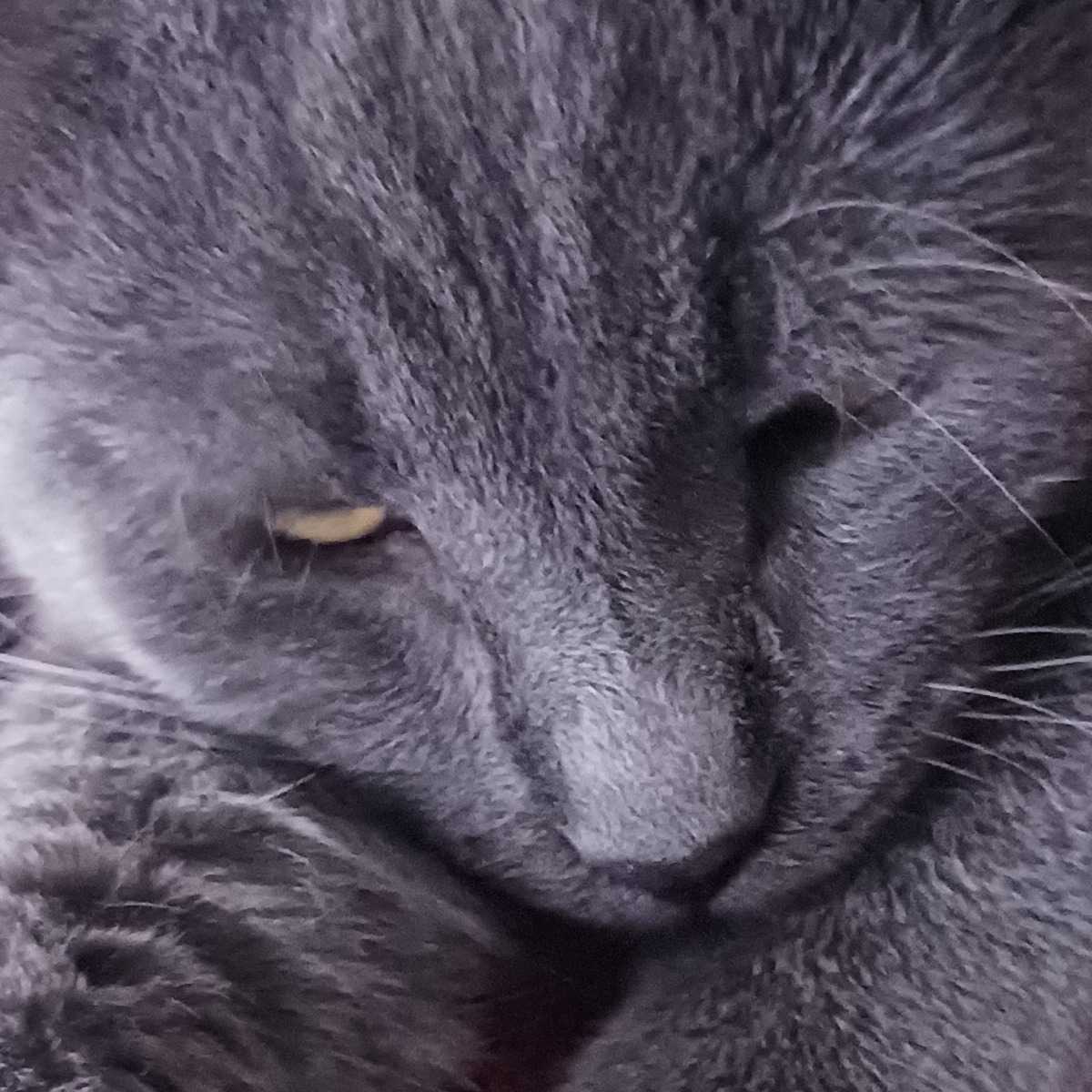 Mason