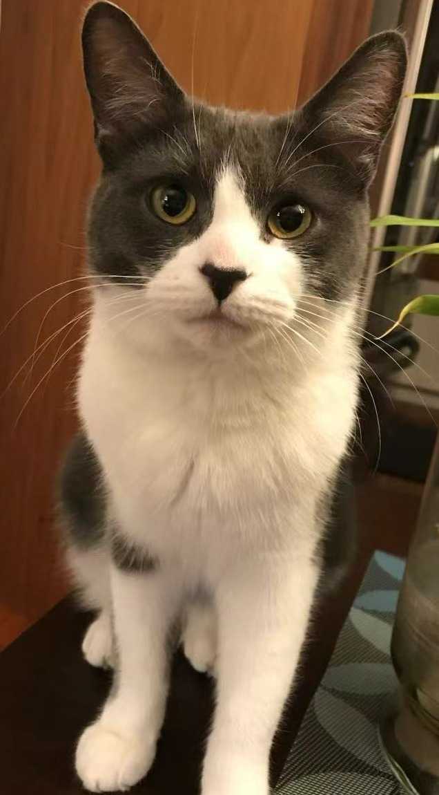 MIMI