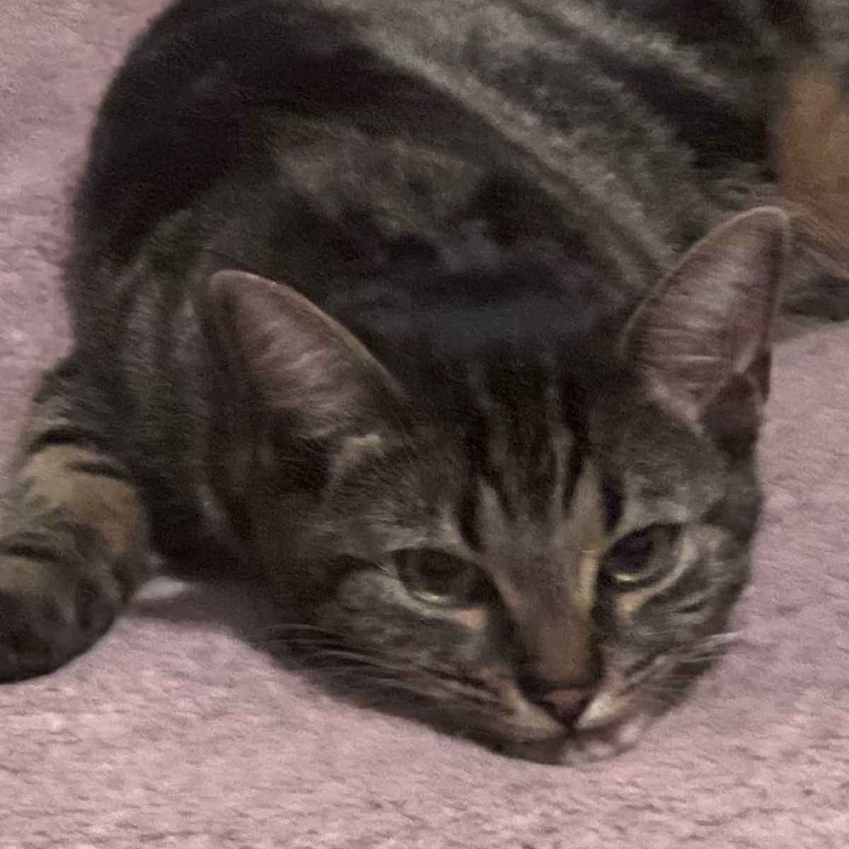 Precious
