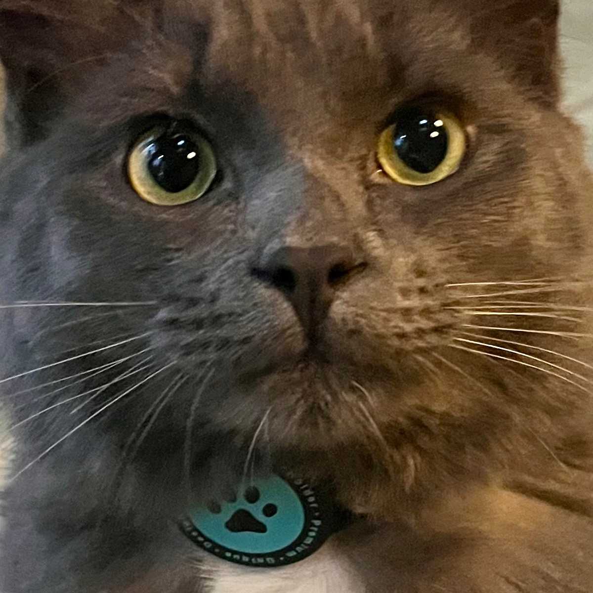Gary