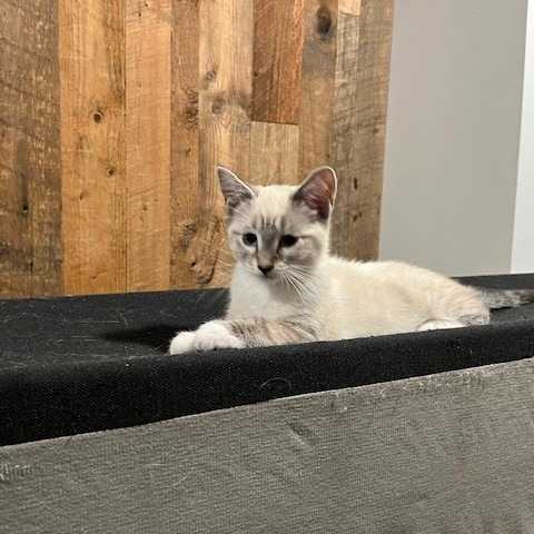 Lupita