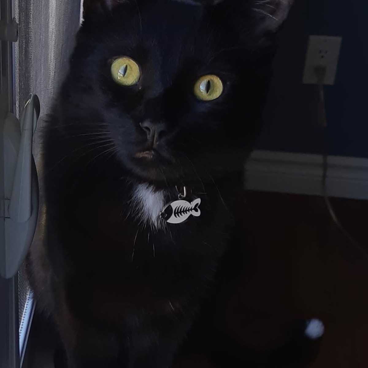 Berlioz
