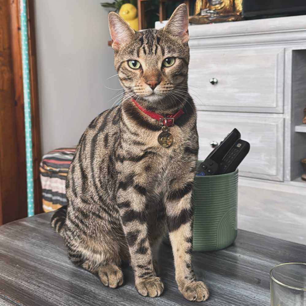 Milo
