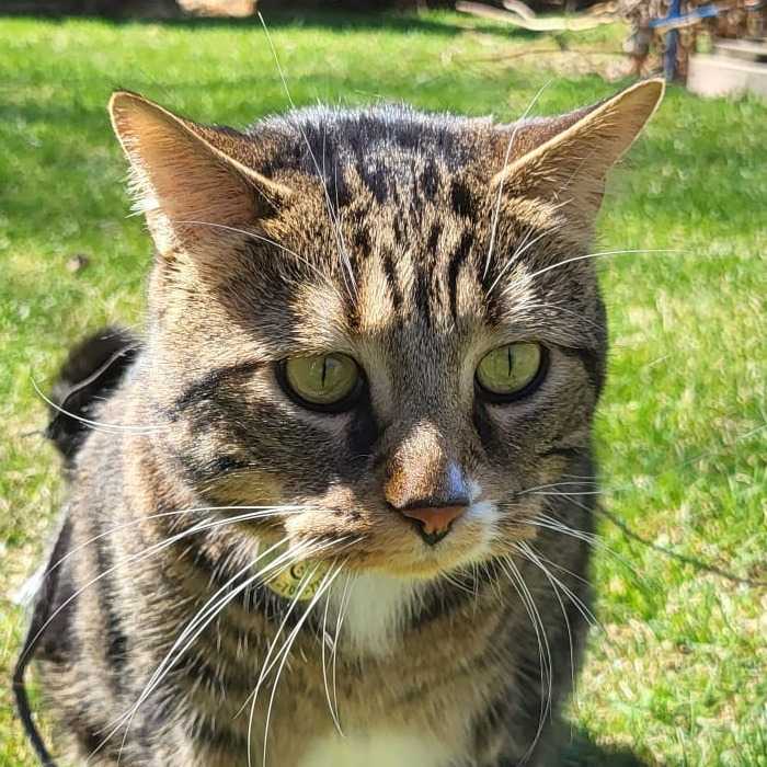 Theodore