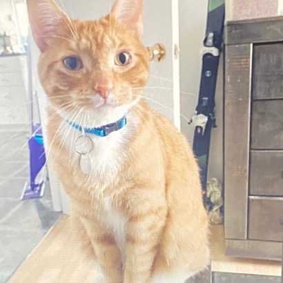 Oliver