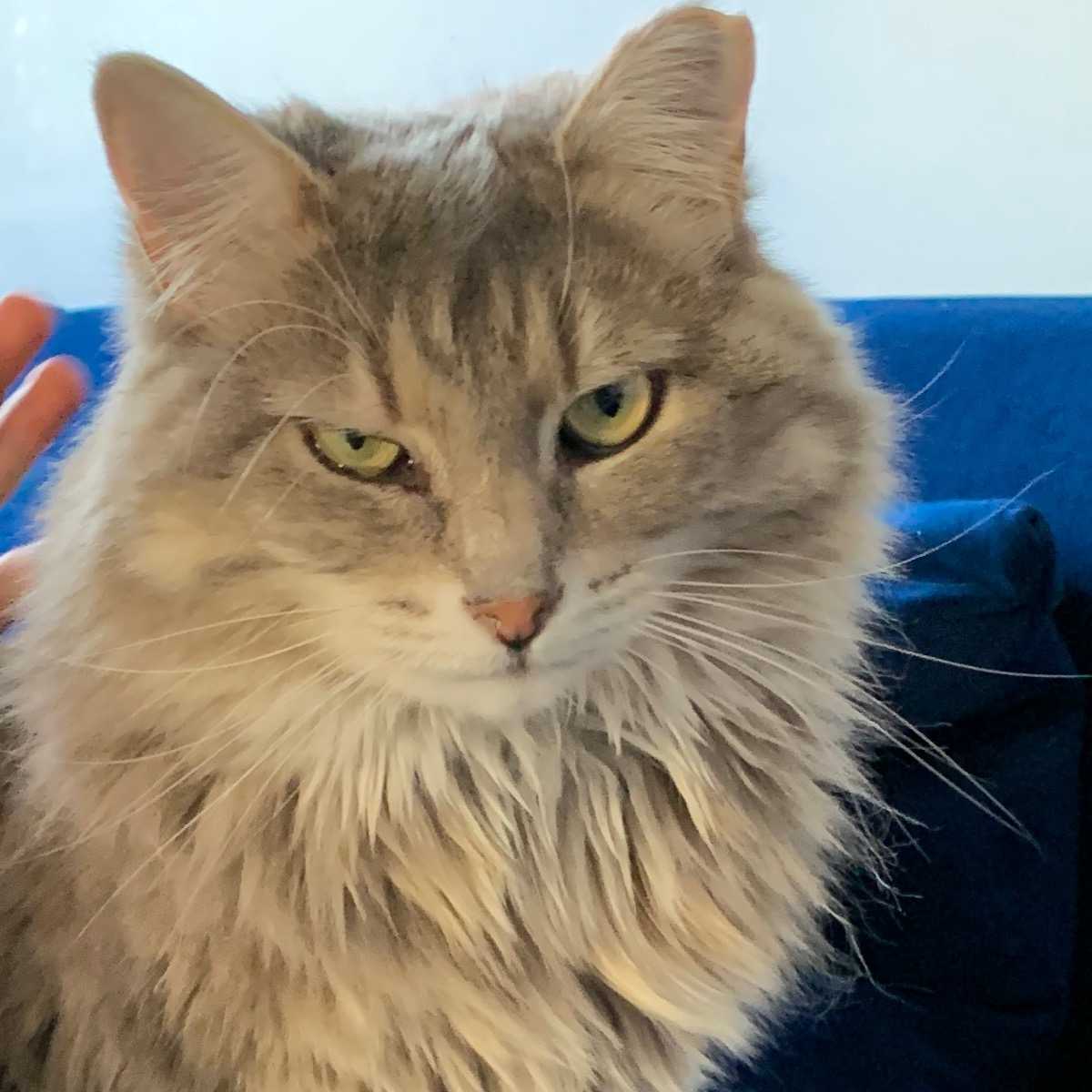 Thelma
