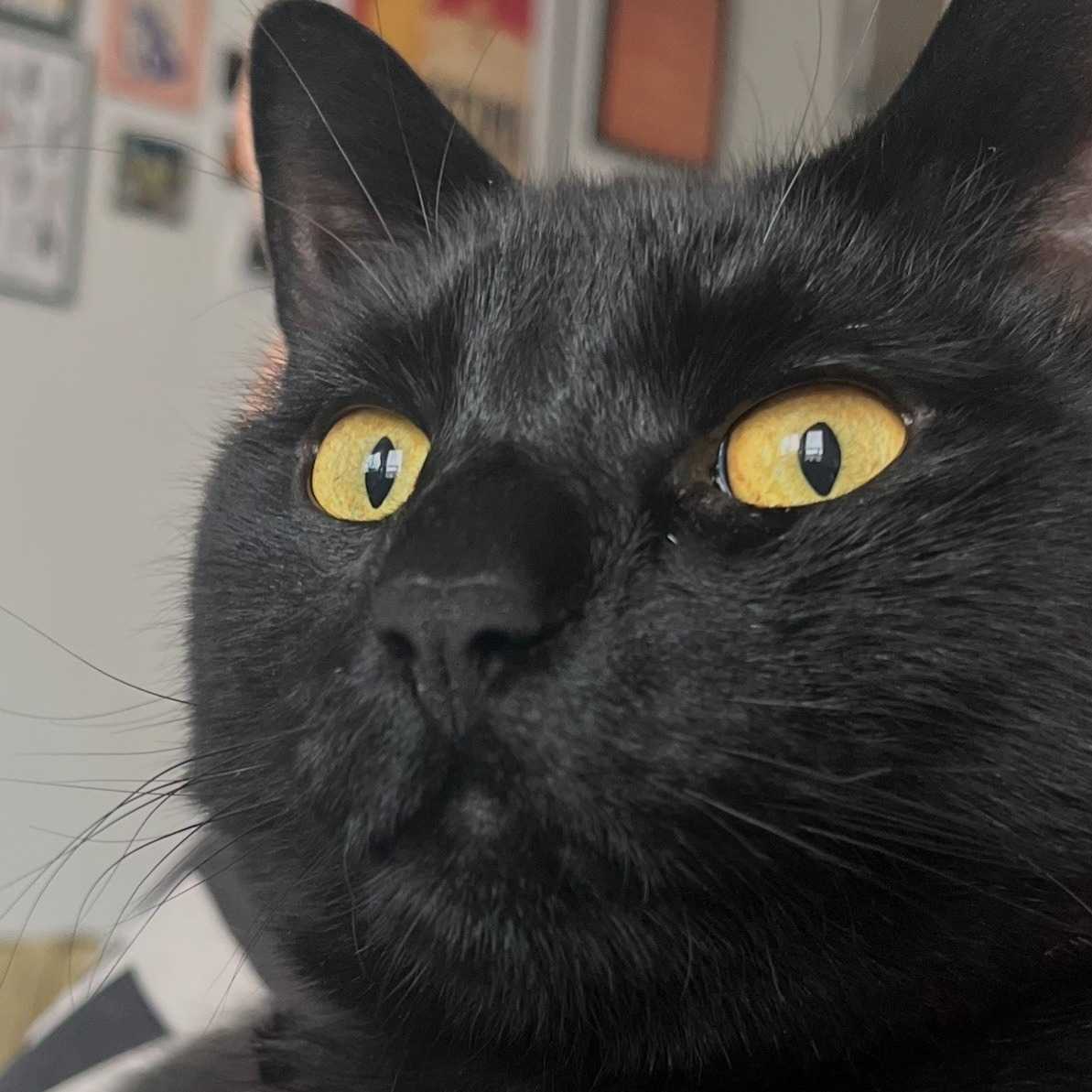 Kuro