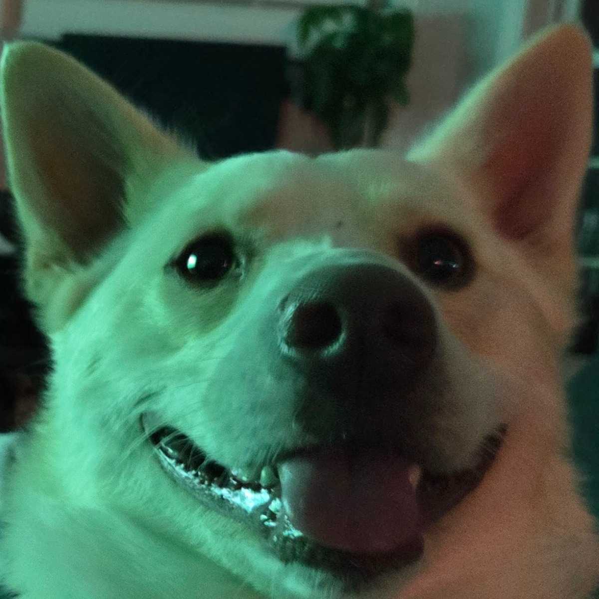 Baymax