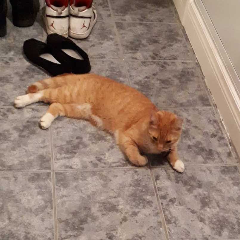 Tig-Roux