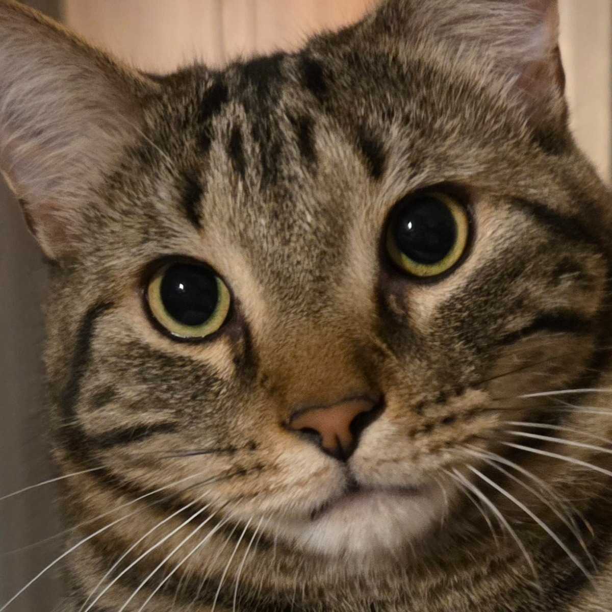 Paul