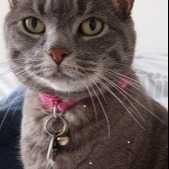 Louna