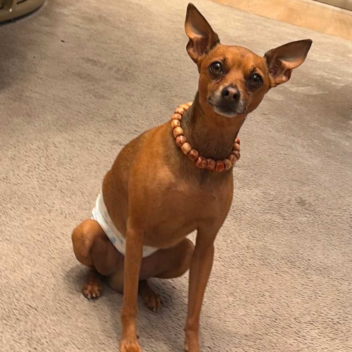 Paco