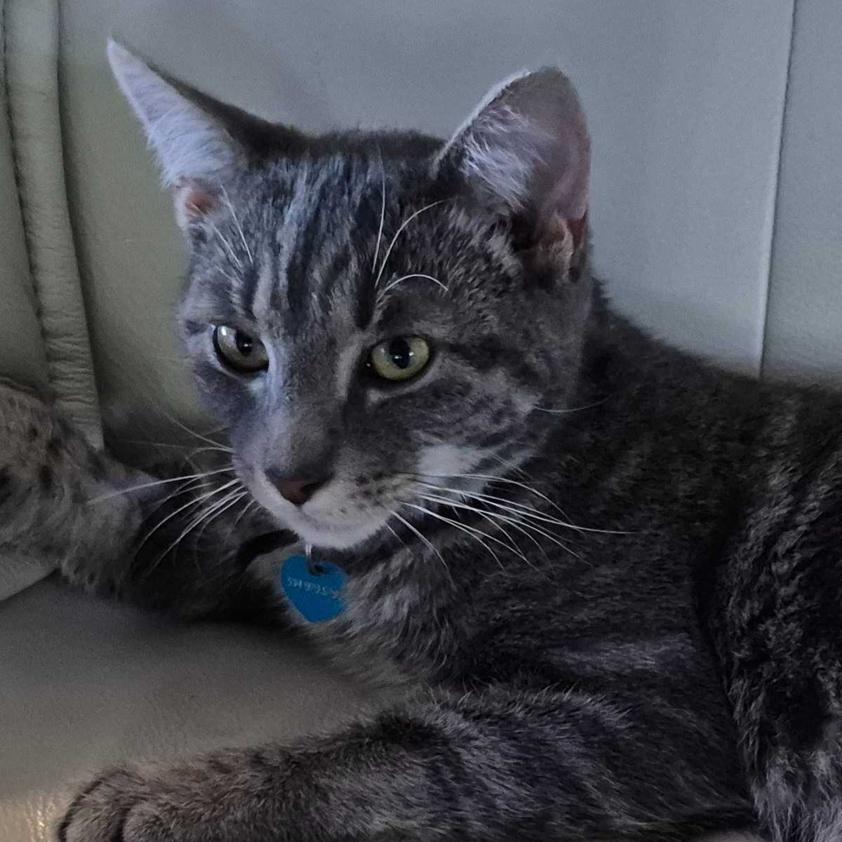 Zeek
