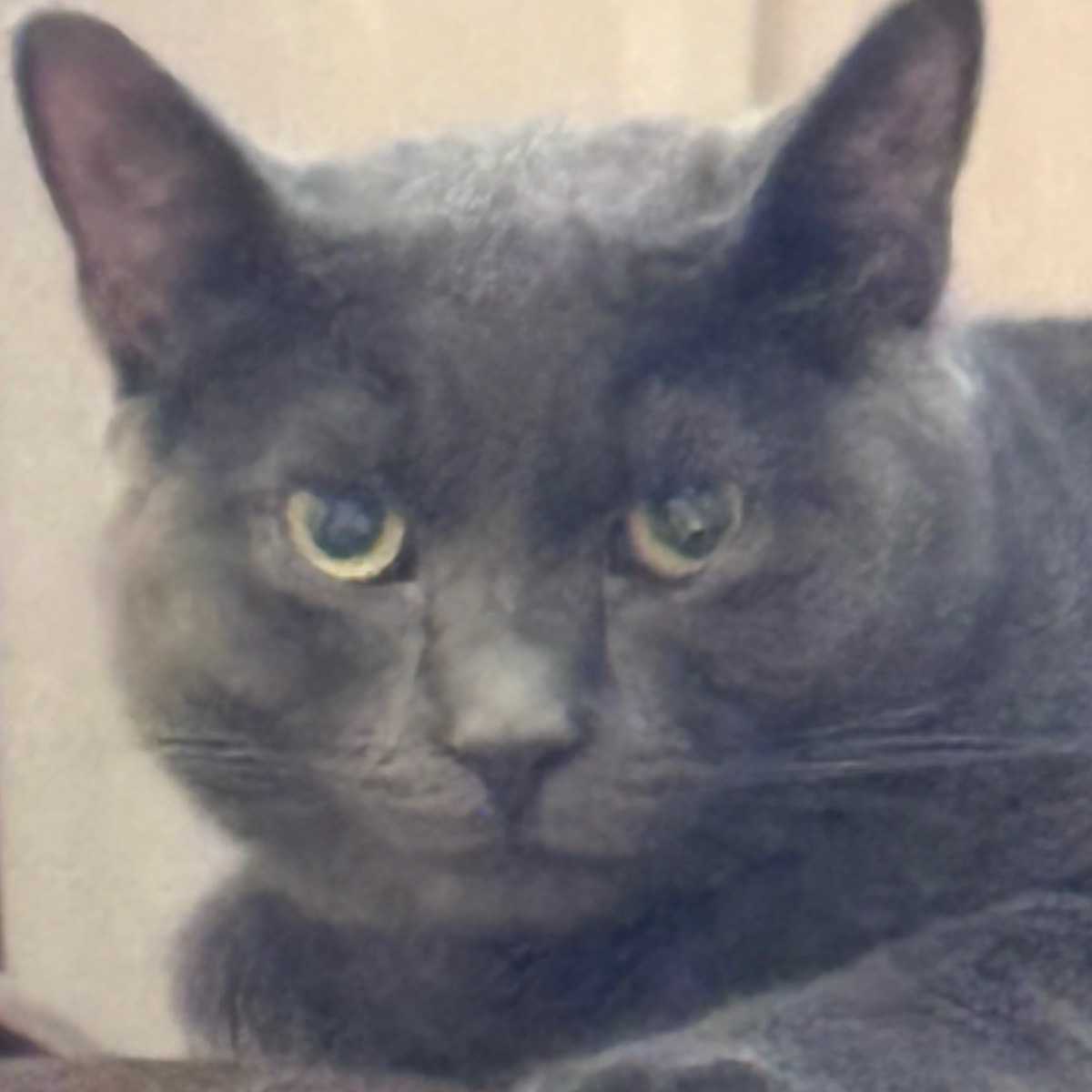 Linx