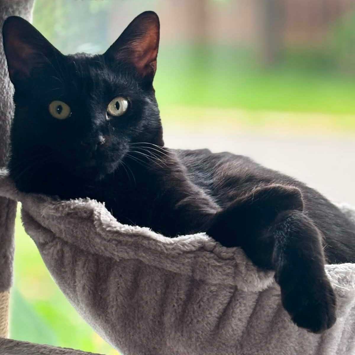 Tony