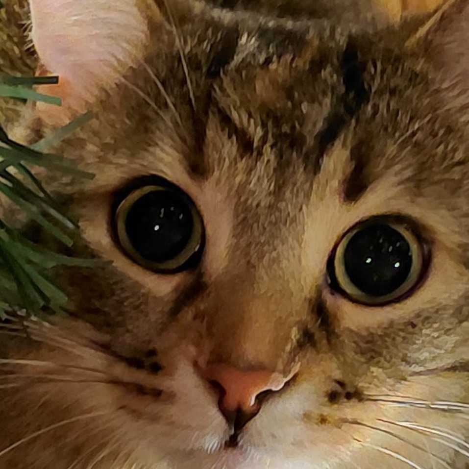 Margaret