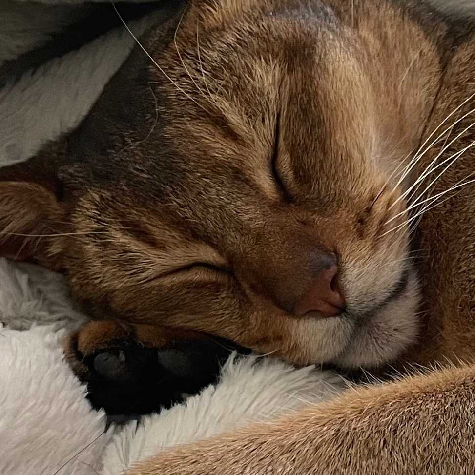 Tom