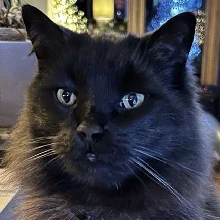 Nelson