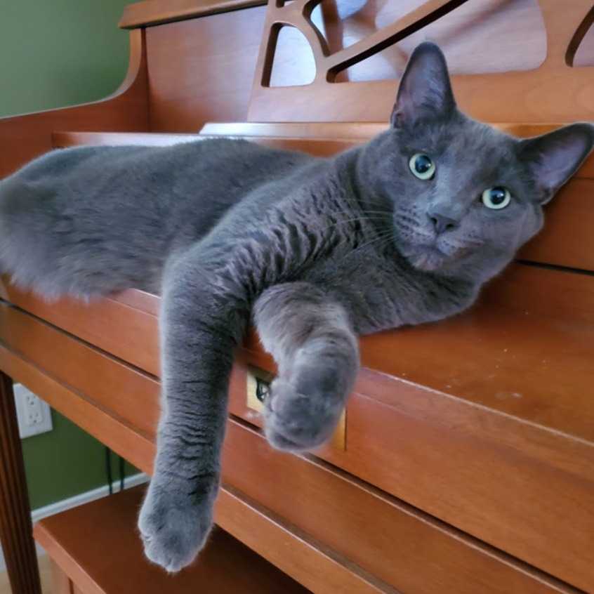 Nimbus