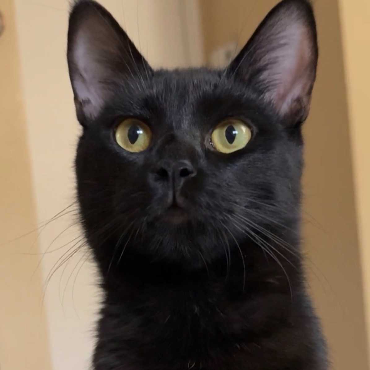 Jean-Pierre