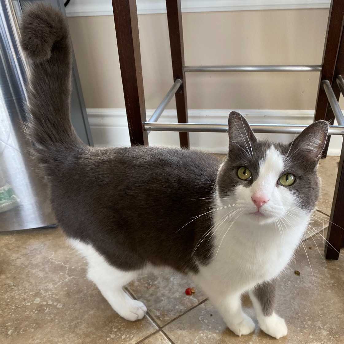Oscar