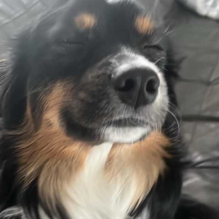 Oscar