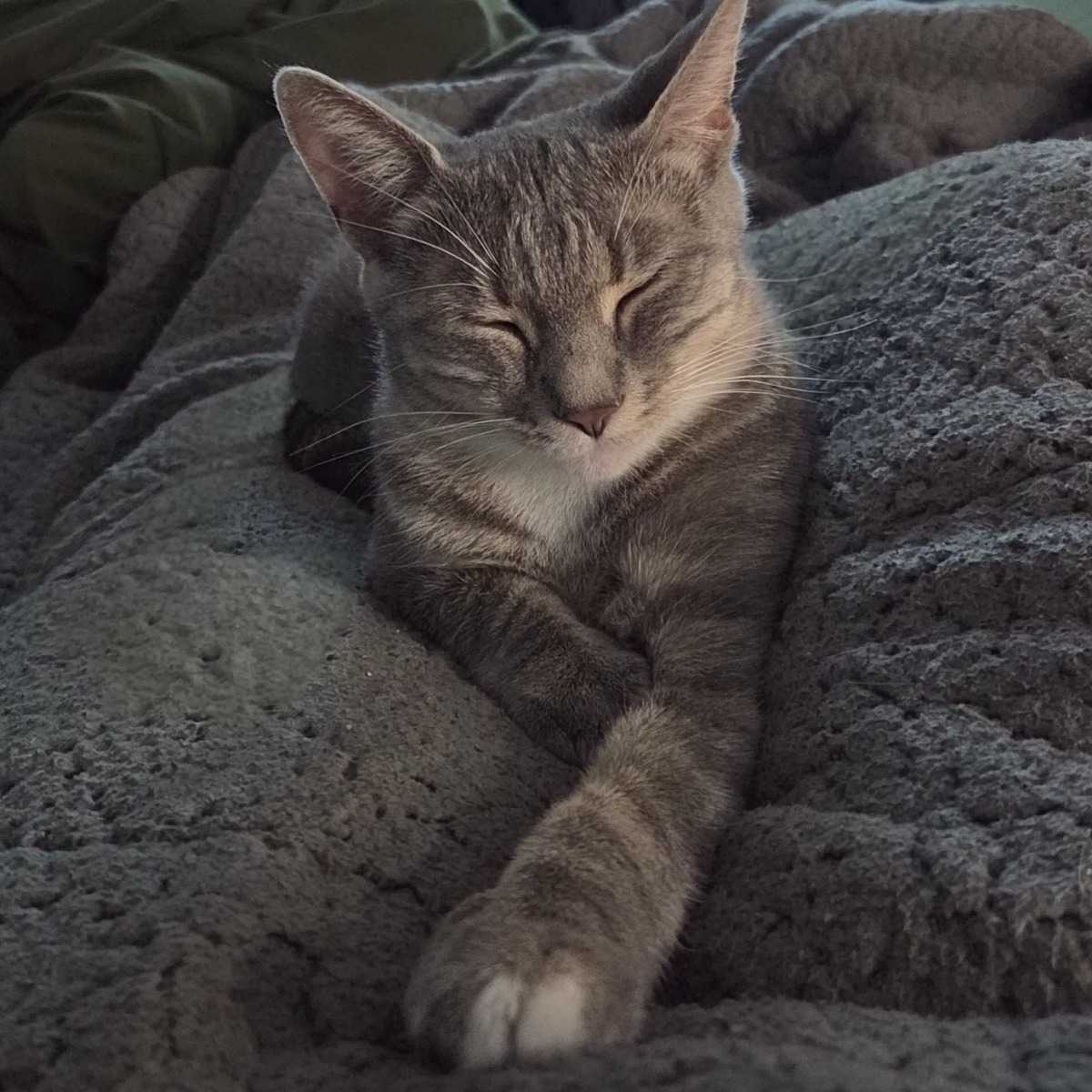 Elizabeth