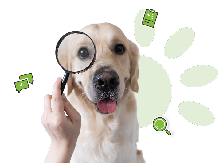 6. Identification facilitée grâce au profil de l’animal