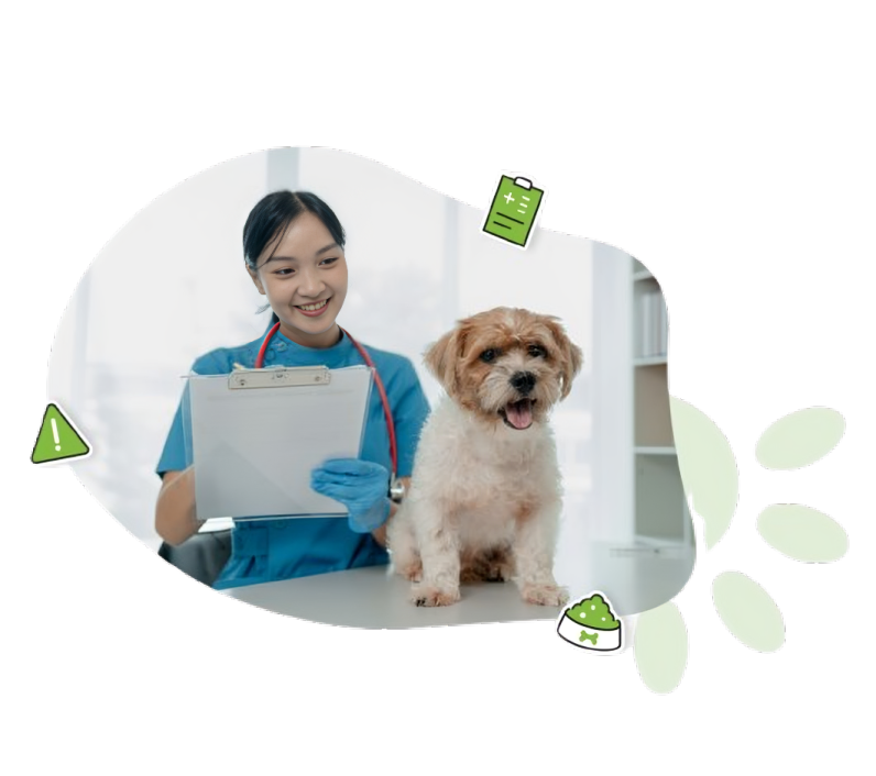 2. Ajout des informations médicales importantes