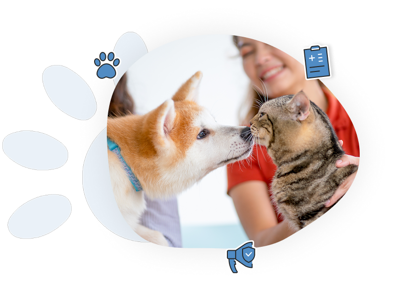 Pourquoi faire micropucer son animal?