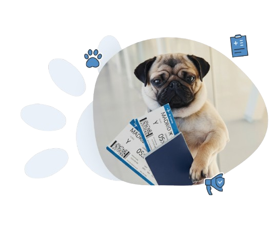 Pourquoi utiliser le passeport de l’animal Identrac?
