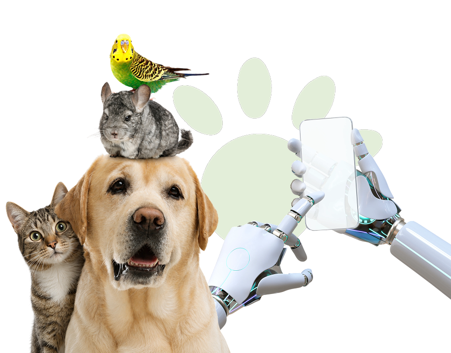 2. Sélection du type d’animal