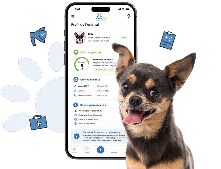 7. Un suivi connecté au profil de l’animal