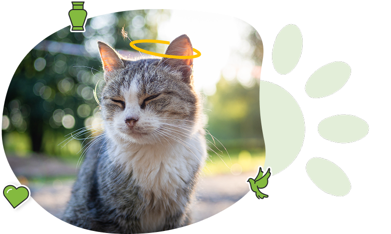 Une page souvenir pour honorer la mémoire de votre animal