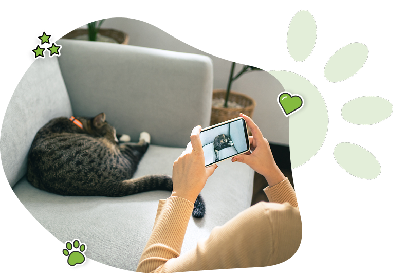 4. Ajout de photos et de textes
